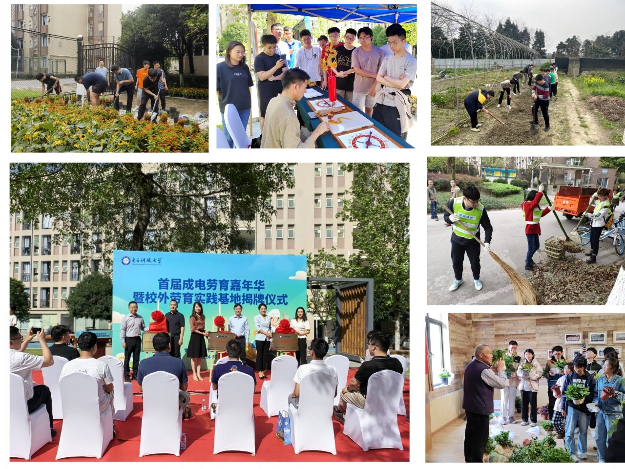 6.学生社区劳育活动.jpg